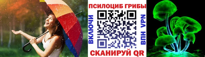 Галлюциногенные грибы мухоморы  OMG ссылка  Городовиковск 