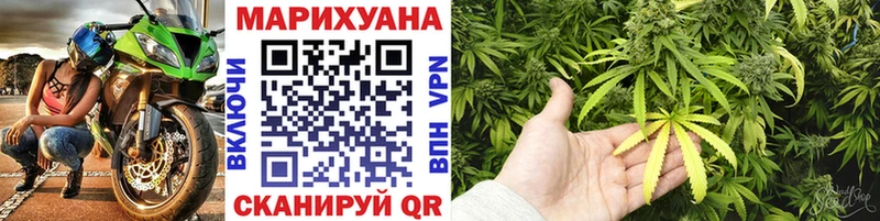 Конопля индика  даркнет сайт  Городовиковск 